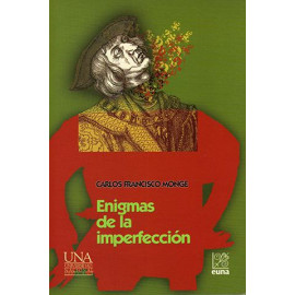 Enigmas of imperfection (Printed book)