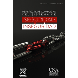 PERSPECTIVAS COMPLEJAS DEL SISTEMA DE SEGURIDAD  INSEGURIDAD