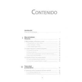 ¿Valiente y viril? Masculinidades, cuerpo e identidad en la literatura costarricense (1888-1954) Libro digital ePub