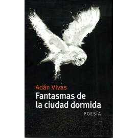 FANTASMAS DE LA CIUDAD DORMIDA 