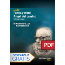 Lieder. Poesía y cristal. Ángel del camino (Libro digital PDF)