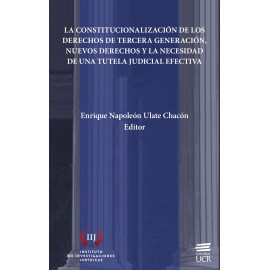 LA CONSTITUCIONALIZACION DE LOS DERECHOS(VERSION IMPRESA)