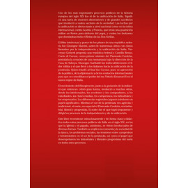 Guerras locales y enfrentamientos internacionales: los caminos hacia la unificación de Italia en el siglo XIX (Libro Digital epub)