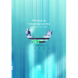 PRINCIPIOS DE METODOLOGIA JURIDICA (VERSION IMPRESA)