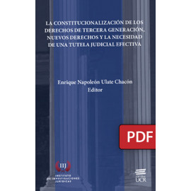 La constitucionalización de los derechos de tercera generación, nuevos derechos y la necesidad de una tutela judicial efectiva  (Libro digital PDF)