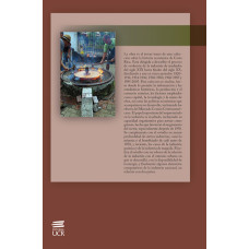 Historia económica de Costa Rica en el siglo XX. La industria en Costa Rica en el siglo XX. Tomo III (LIBRO DIGITAL)