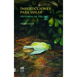 INSTRUCCIONES PARA VOLAR HISTORIAS DE LOCURA (VERSION IMPRESA)