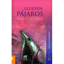 LLUEVEN PAJAROS  (VERSION IMPRESA)