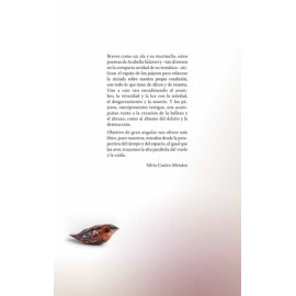 LLUEVEN PÁJAROS (LIBRO DIGITAL PDF)